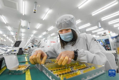靠譜服務驅動技術創新，標準引領未來——一家光通信企業的出海秘籍