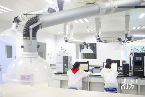 深圳首季高新技術企業(yè)培育資助突破20.5億元，通訊工程技術研發(fā)與服務成重點扶持方向