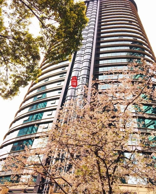 南京西路商圈 王子晶品 270 圓弧形景觀大宅 建面約288平 4200萬(wàn)