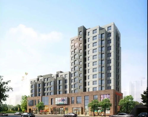 上海新世紀大廈發展100 股權