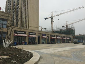 華紡和成未來派 上海華紡和成未來派配套實(shí)景圖,樣板間,效果圖,戶型圖 上海網(wǎng)易房產(chǎn)