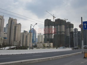 長(zhǎng)寧88金廷 上海長(zhǎng)寧88金廷配套實(shí)景圖,樣板間,效果圖,戶型圖 上海網(wǎng)易房產(chǎn)